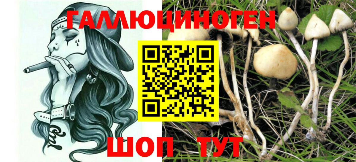купить  сайты  Псилоцибиновые грибы GOLDEN TEACHER  Вход с VPN  Кемерово  Псилоцибиновые грибы ЛСД 